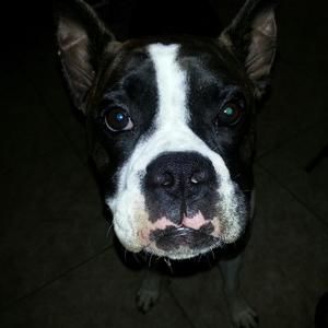 Meet your Posher, Diane